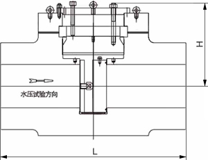 水壓試驗堵閥結構示意圖